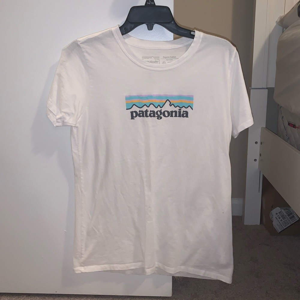 COPY - Patagonia t-shirt